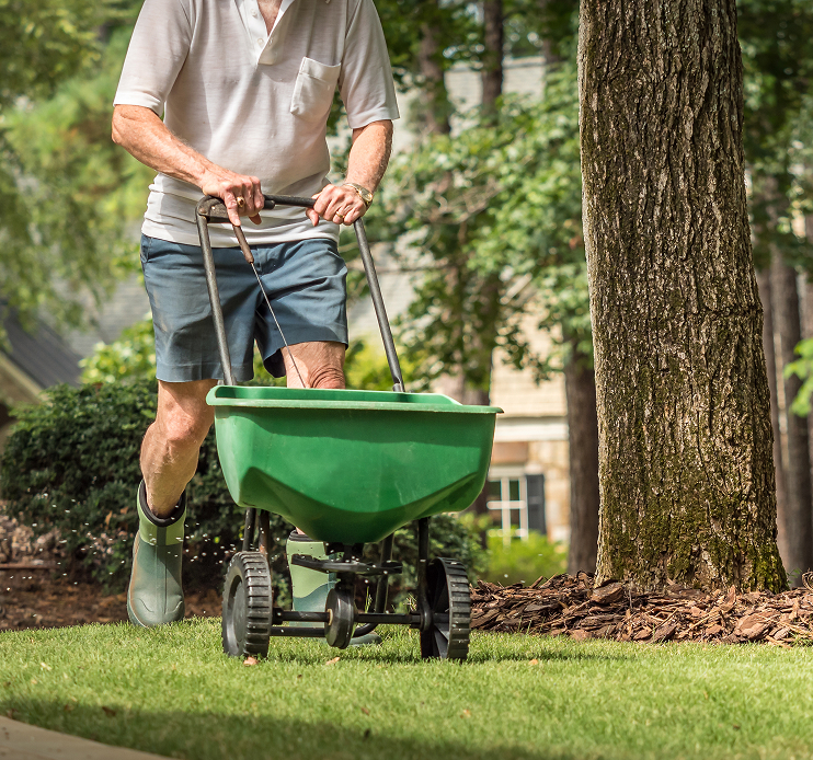Lawn fertilizing in Aurora and Newmarket