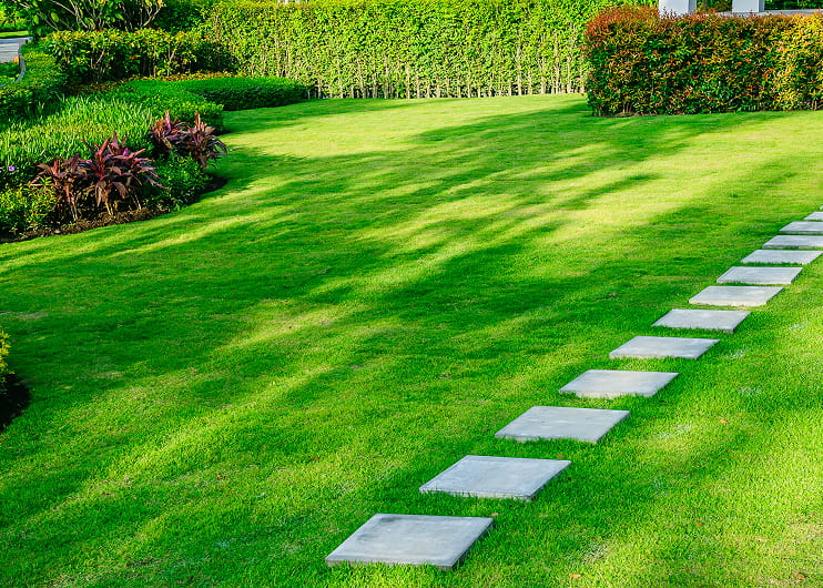 Newmarket lawn care