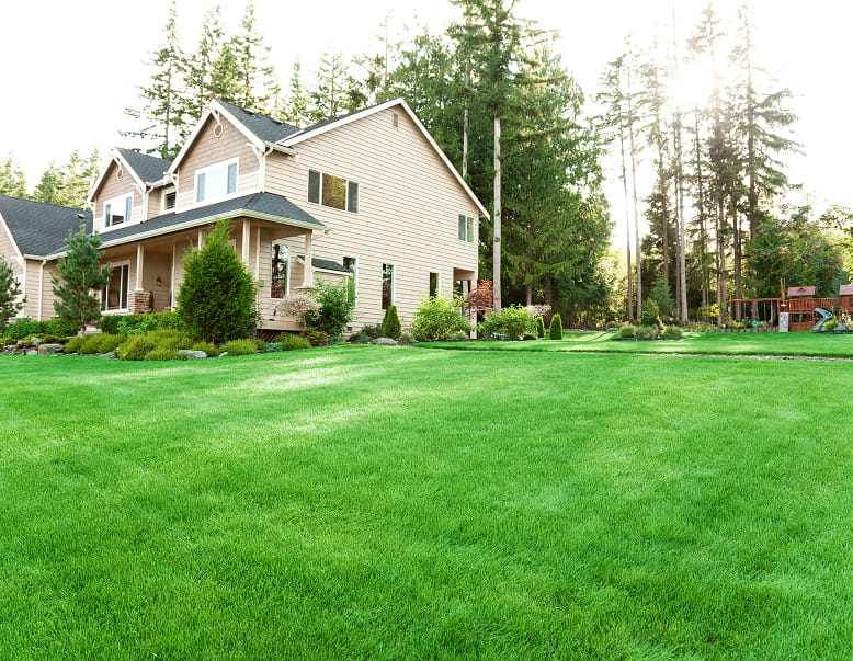 Lawn fertilizing in Aurora and Newmarket